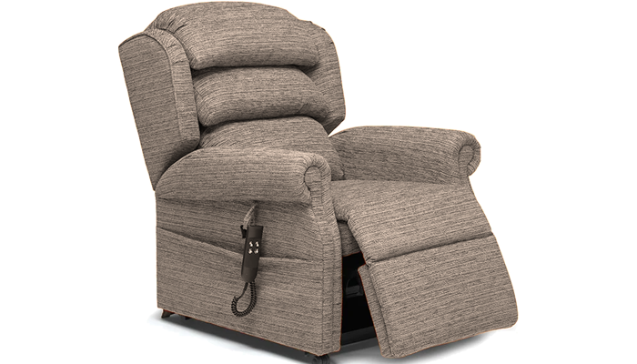 Dual motor riser recliner chair deals sale